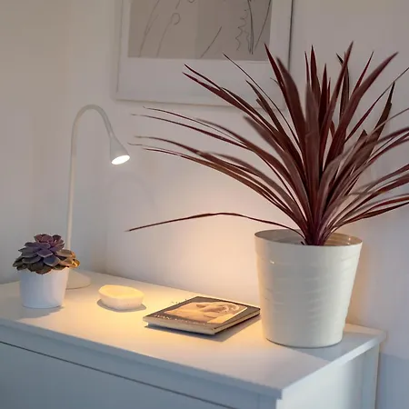 Seafront House On Island Korcula Casa de Férias *