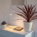 Seafront House On Island Korcula Holiday home *